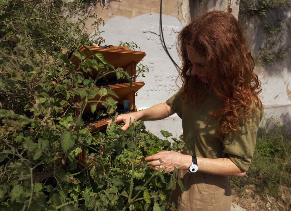 Edible Ambassador tending a vertical garden